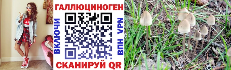 blacksprut Правдинск Галлюциногенные грибы Psilocybine cubensis