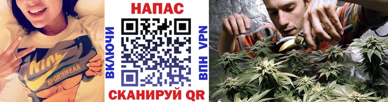 mega вход  даркнет наркотические препараты  Правдинск  Шишки марихуана индика  как найти  